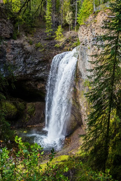Moul Falls, Wells Gray Provinicial Park, Bc, Kanada — Zdjęcie stockowe