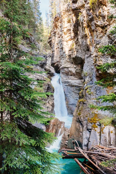 Johnston Creek, Parque Nacional Banff, Alberta —  Fotos de Stock