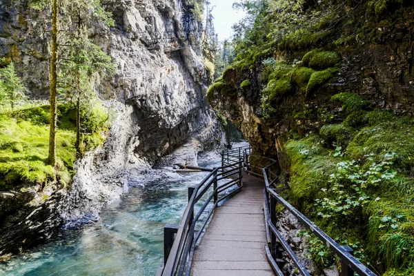 Johnston Canyon, Национальный парк Банф, Альберта, Канада — стоковое фото