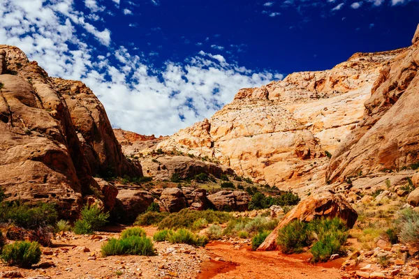 Grand mytí stezka, kapitál Reef národní Park, Utah, Usa — Stock fotografie