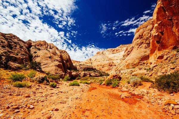 Grand mytí stezka, kapitál Reef národní Park, Utah, Usa — Stock fotografie