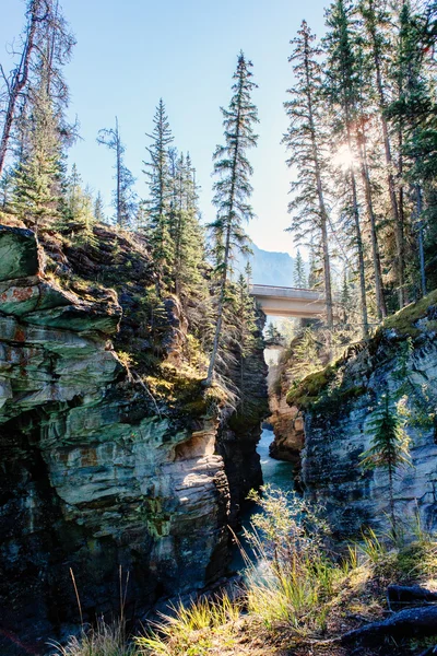 Park Narodowy Jasper Athabasca Falls, szczytu Icefields Parkway, — Zdjęcie stockowe