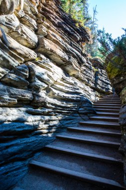 Athabasca merdiven, Icefield Parkway, Jasper National Park düşüyor