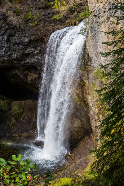 Pelichání Falls, Wells Gray Provinicial Park, Bc, Kanada — Stock fotografie