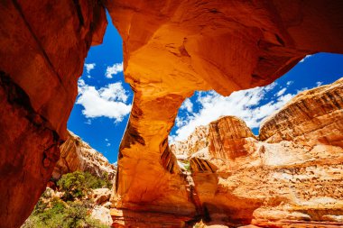 Doğal Arch, Hickman Köprüsü, Capitol resif Milli Parkı, Utah, 