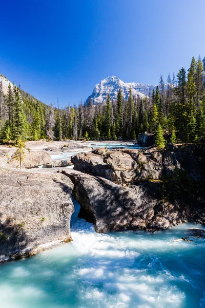 Natural Bridge, Yoho National Park, Альберта, Канада — стоковое фото