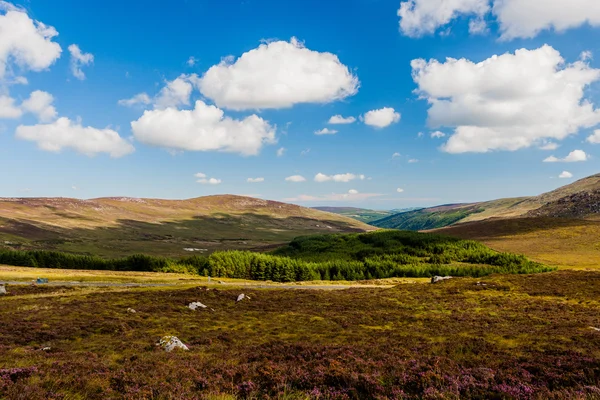 Wicklow Mountains v Irsku — Stock fotografie