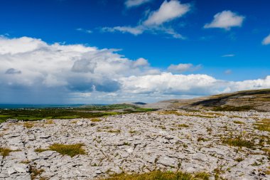 Burren manzarası, County Clare, İrlanda