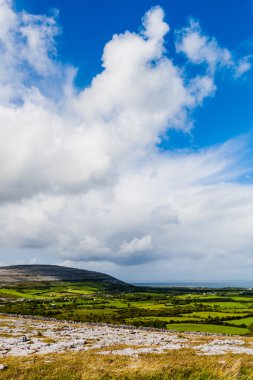 Burren manzarası, County Clare, İrlanda