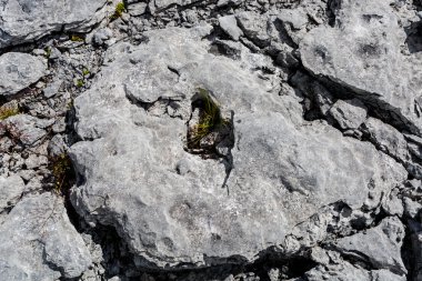 Burren benzersiz olarak stark güzel Karst peyzaj