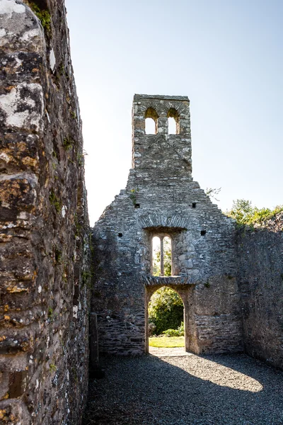 Mellifont Abbey, Drogheda, County Louth, Irland — Stok fotoğraf