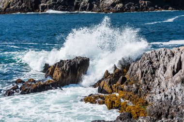 dursey ses, dalgakıran