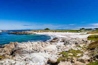 Sandy beach Cypress Point yakınlarında