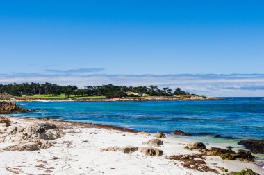 Sandy beach Cypress Point yakınlarında