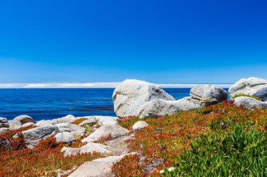 big sur California 17 kilometre sürücü Pescadero noktada
