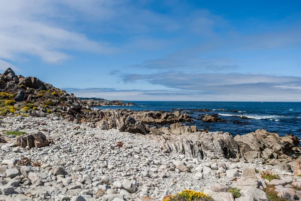 China Rock at 17 Mile Drive — Stock Photo, Image