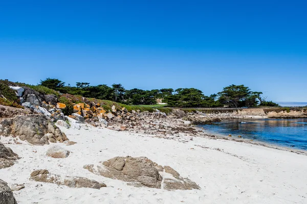 Homokos strand, közel Cypress — Stock Fotó