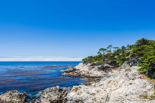 Cypress Point, 17 Mile Drive — Stock Photo, Image