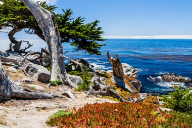 big sur California 17 kilometre sürücü Pescadero noktada