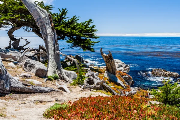 Pescadero pont a 17 mérföldes kocsikázás Big Sur California — Stock Fotó