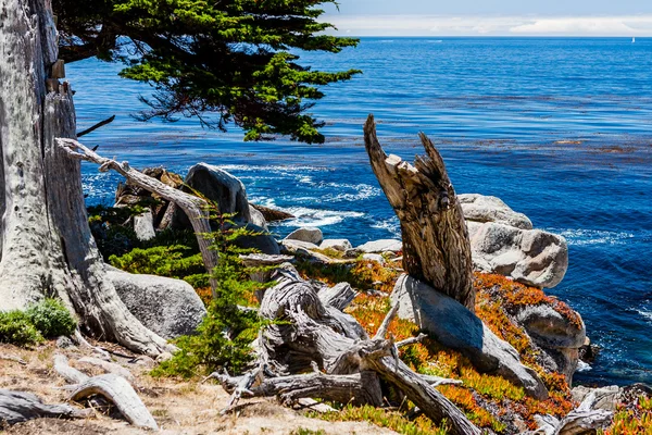 Сполучені точки в 17 км їзди в Big Sur Каліфорнії — стокове фото