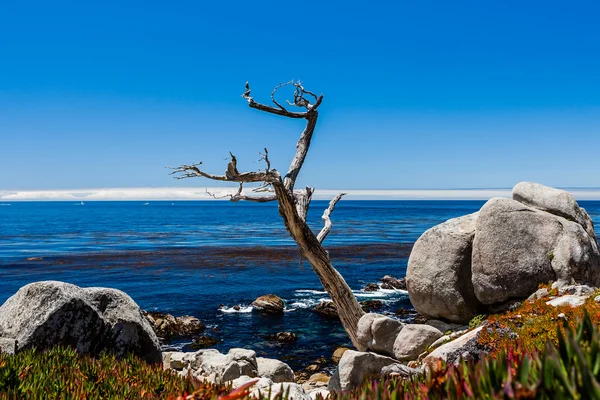 Pescadero pont a 17 mérföldes kocsikázás Big Sur California — Stock Fotó