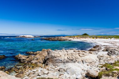 Sandy beach Cypress Point yakınlarında