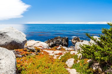 big sur California 17 kilometre sürücü Pescadero noktada