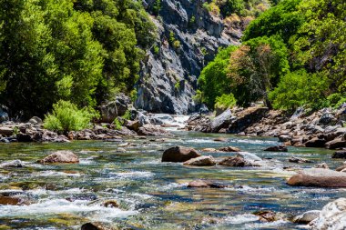 Redwood Creek, otoyol 180, Kings Kanyon Milli Parkı, California'dan