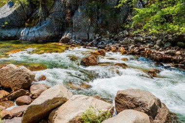 Redwood Creek, otoyol 180, Kings Kanyon Milli Parkı, California'dan
