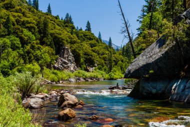 Redwood Creek, otoyol 180, Kings Kanyon Milli Parkı, California'dan