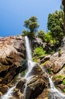 Boz Falls, Sequoia Ulusal Ormanı, Kaliforniya, ABD