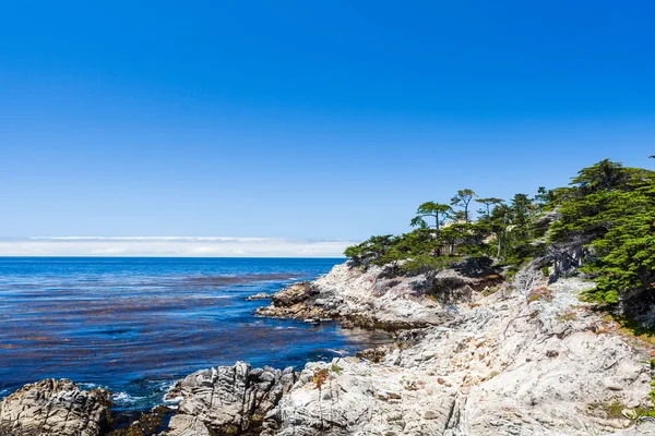 Cypress Point, 17 Mile Drive — Foto Stock