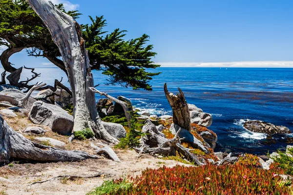 Pescadero pont a 17 mérföldes kocsikázás Big Sur California — Stock Fotó