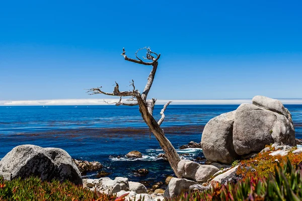 Pescadero pont a 17 mérföldes kocsikázás Big Sur California — Stock Fotó