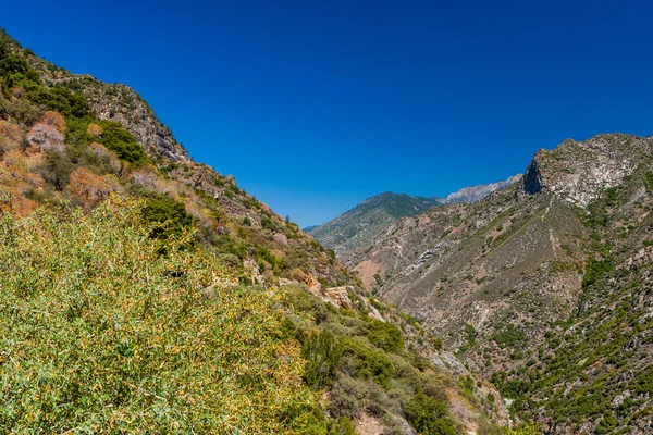 Pohled na dálnici 180, národního parku Kings Canyon, Kalifornie, Usa — Stock fotografie