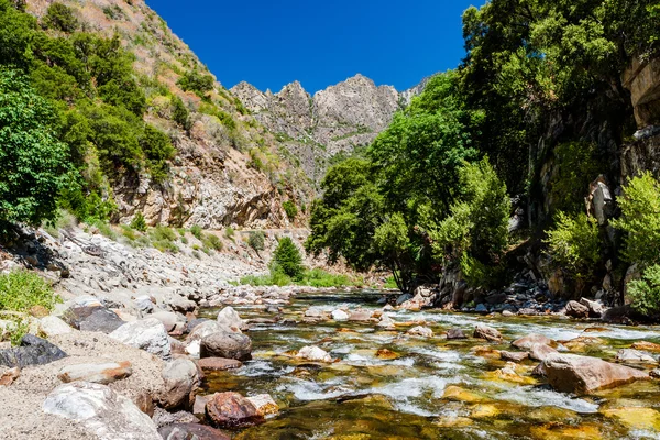 Sekwoja Creek, autostrady 180, Kings Canyon National Park, Californ — Zdjęcie stockowe