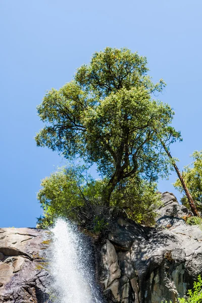 Grizzly Falls, Sequoia National Forest, California, EE.UU. — Foto de Stock