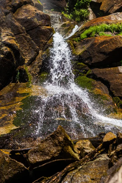 Grizzly Falls, Sequoia National Forest, Californie, États-Unis — Photo