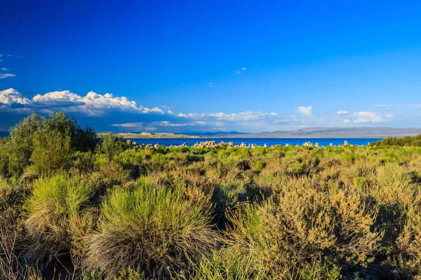 Jezioro Mono krajobraz, California, Stany Zjednoczone Ameryki. — Zdjęcie stockowe