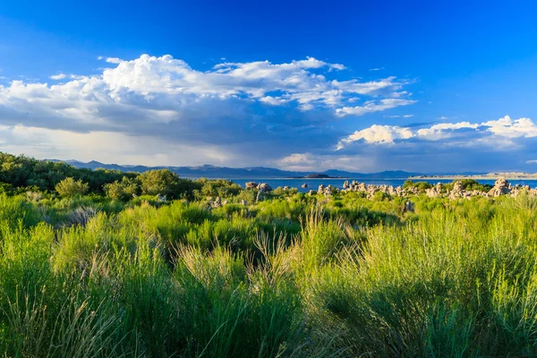 Mono Lake landscape, California, USA. — Stock Photo, Image