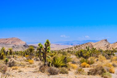 Red Rock Canyon panoramik, Mojave Çölü, Nevada, ABD
