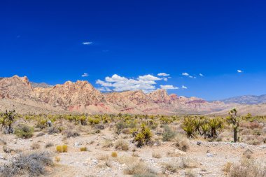 Red Rock Canyon panoramik, Mojave Çölü, Nevada, ABD