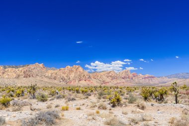 Red Rock Canyon panoramik, Mojave Çölü, Nevada, ABD