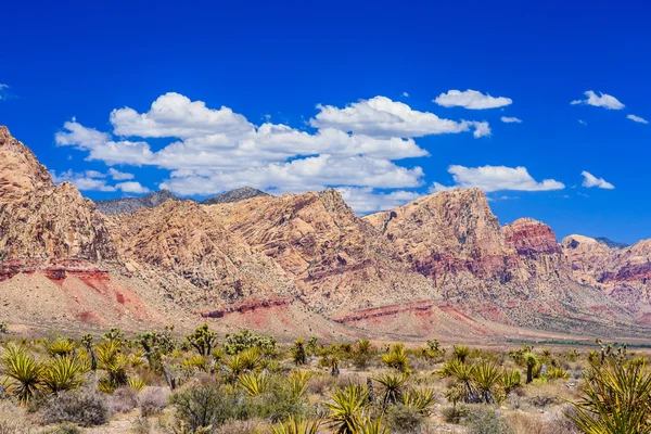 Red Rock Canyon panoramic, Mojave Desert, Nevada, Estados Unidos — Foto de Stock