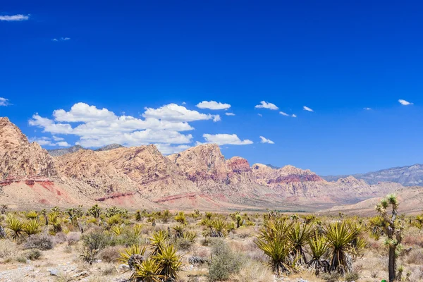Red Rock Canyon panoramik, Mojave Çölü, Nevada, ABD