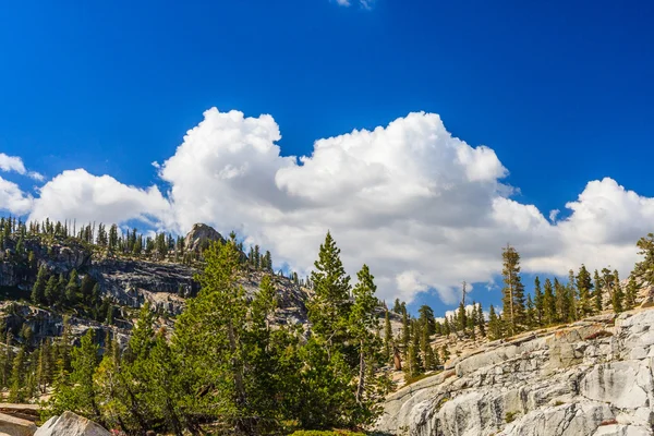 Tioga Pass, Yosemite National Park, Sierra Nevada, USA — Stock Photo, Image