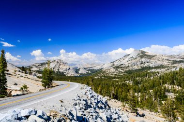 Tioga Pass, Yosemite Milli Parkı, Sierra Nevada, ABD