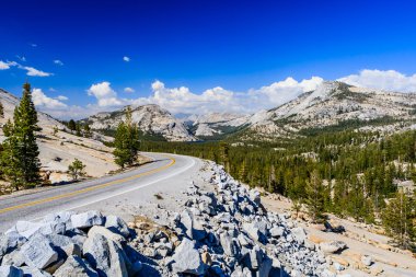 Tioga Pass, Yosemite Milli Parkı, Sierra Nevada, ABD