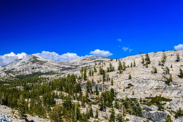 Tioga Pass, Yosemite National Park, Sierra Nevada, USA — Stock Photo, Image